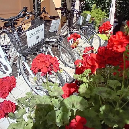 Silvi D'Amare Bed & Breakfast ซิลวี มารีน่า ภายนอก รูปภาพ
